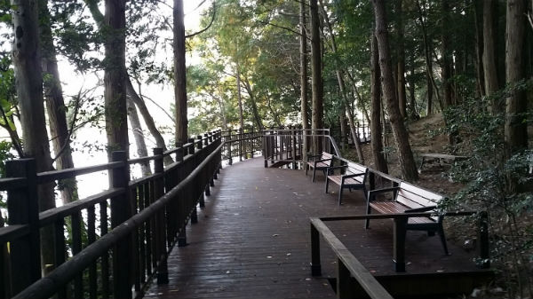▲ 여수시 미평 봉화산 산림욕장 산책로 전경