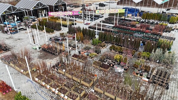 순천만가든마켓(주) 봄맞이 나무시장